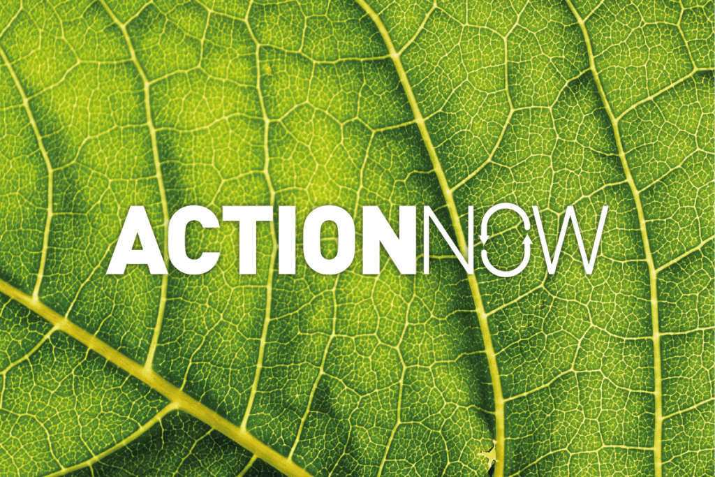 Action Now: Faberexposize UK’s sustainability mission