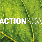 Action Now: Faberexposize UK’s sustainability mission